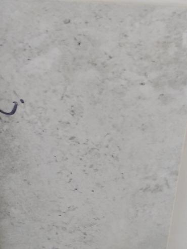silver kitchen: Керамическая плитка настенно-напольная, с имитацией светло‑серого — 1