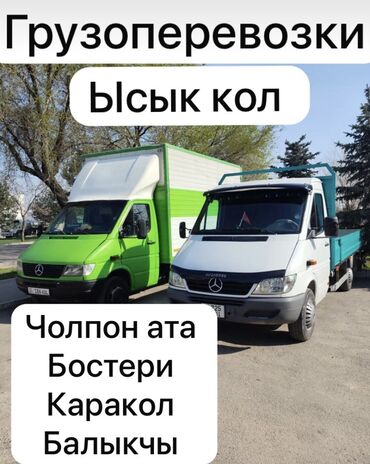 Портер, грузовые перевозки: Бус, Переезд, перевозка мебели, По региону, По городу, с грузчиком