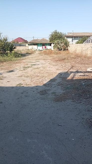 qara torpaq satılır: 6 sot, Tikinti, Mülkiyyətçi, Kupça (Çıxarış) — 2