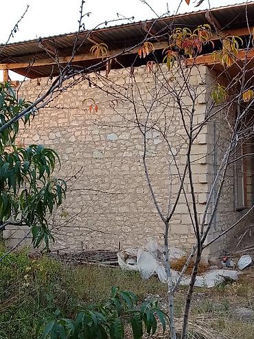 qesebe: Salam wemkir rayon çinarli qesebesinde ev satilir 2 yarim temirli otaq — 10