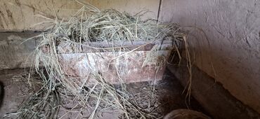 платье мама и дочь: Акур