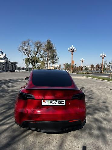 ровен: Tesla Model Y: 2022 г., Робот, Электромобиль, Кроссовер — 5