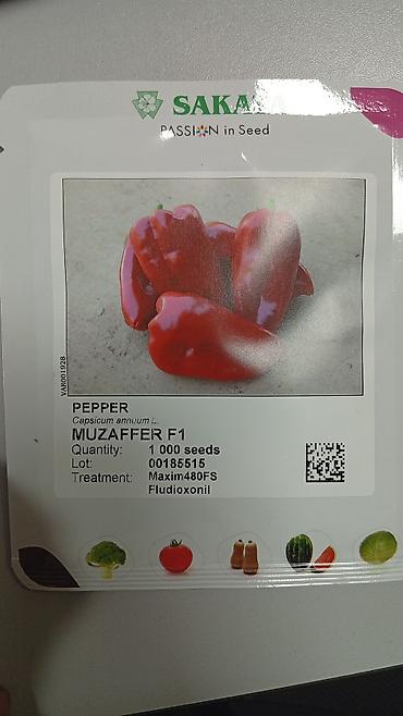 Другие овощные культуры: Семена овощных культур SAKATA (профессиональная серия, фасовка по 1000 — 21