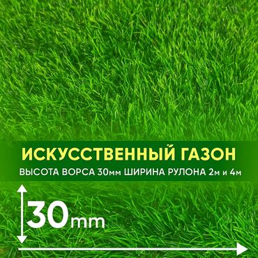 сколько стоит семена тюльпана: 🌿 ИСКУССТВЕННЫЙ ГАЗОН - ВСЕГДА ЗЕЛЕНЫЙ, КАК ЛЕТО 🌿 Надоело, что трава