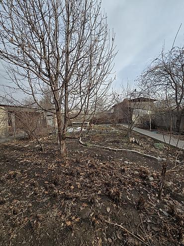 Продажа коттеджей и домов: ✨ Продаётся дом в с. Сокулук р-н Черемушки✨ 🏡 Основные — 3