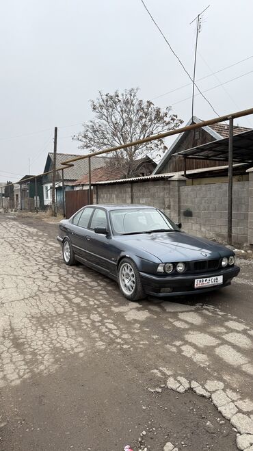 BMW: BMW 5 series: 1994 г., 2.5 л, Механика, Бензин, Седан