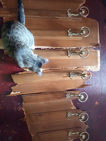 Asılqanlar: Sovetden qalma,qedimi qarderobun, taxta ve polad asilqani — 12