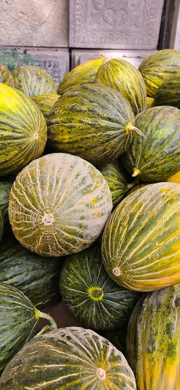 бычак маки: Дыни Оптом, Самовывоз