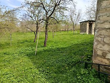 hovsanda torpaq satilir 2025: 15 sot, Tikinti, Mülkiyyətçi, Kupça (Çıxarış) — 3
