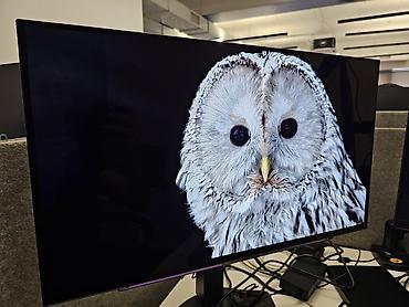dtf printer: Монитор, LG, Новый, OLED, 26" - 27" — 1