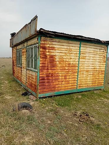 Продажа участков: 4 соток, Красная книга — 6