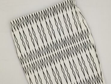 Women`s skirt, Zara, size M (EU 38)