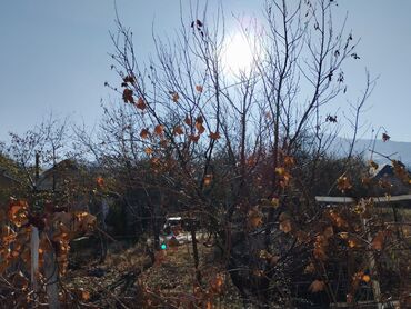 Продажа домов: Дом, 50 м², 3 комнаты, Собственник, Косметический ремонт — 13