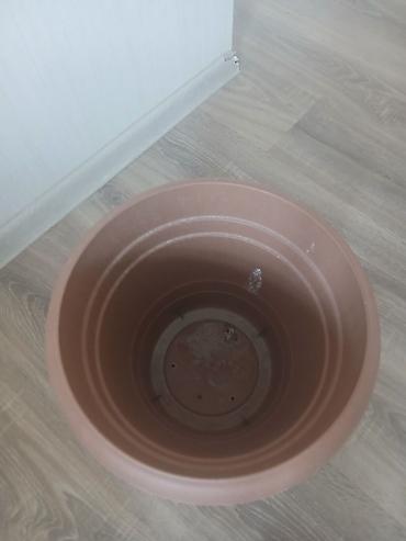 güldəfnə bitkisi: Plastik gül qabı – altlığı ilə birlikdə 13l tutumlu cemi 73 denedi 73 — 3