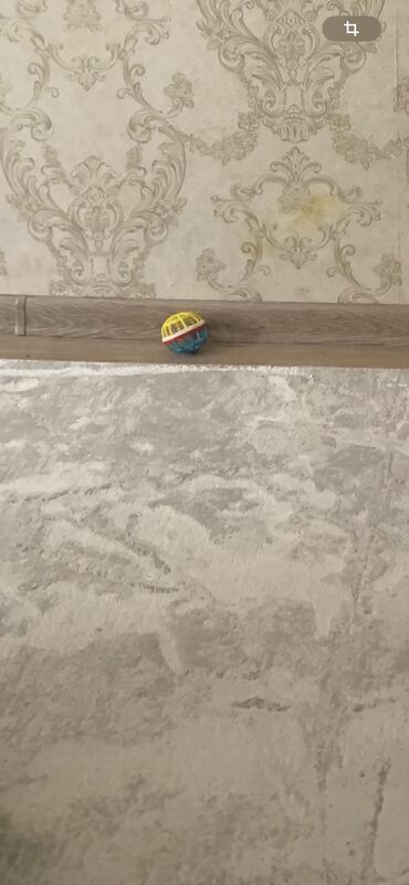 сколько стоит ковролин в бишкеке: Килем Колдонулган, 400 * 250