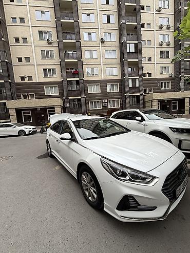 sonata 2012: Hyundai Sonata: 2017 г., Автомат, Газ, Седан — 3
