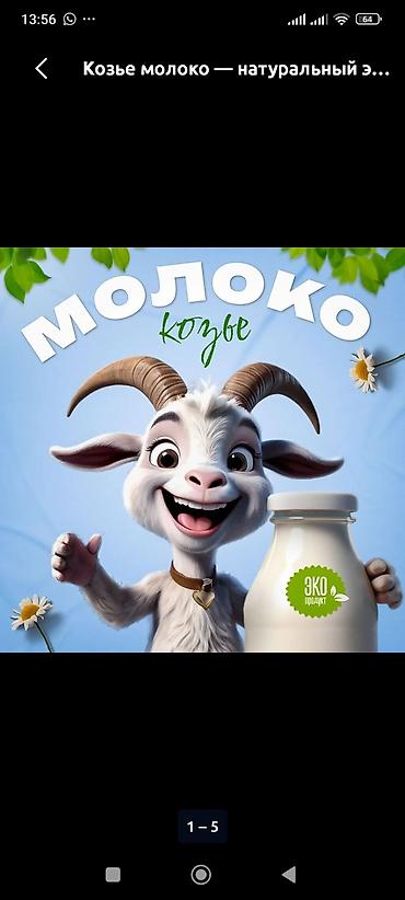 дойки ко: Козье молоко — натуральный эко‑продукт. - Свежий вкус без посторонних — 1