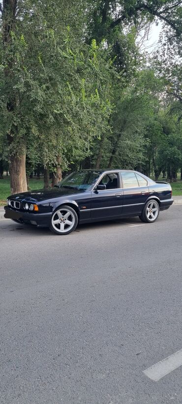 BMW: BMW 5 series: 1995 г., 3 л, Автомат, Бензин, Седан — 2