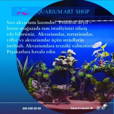 Akvariumlar: Hər zövqə uyğun akvariumlar İstehsal və təmir Dekorasiya(dizayn)