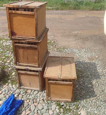 ящик пластмассовые: Продаются ящики для пчел