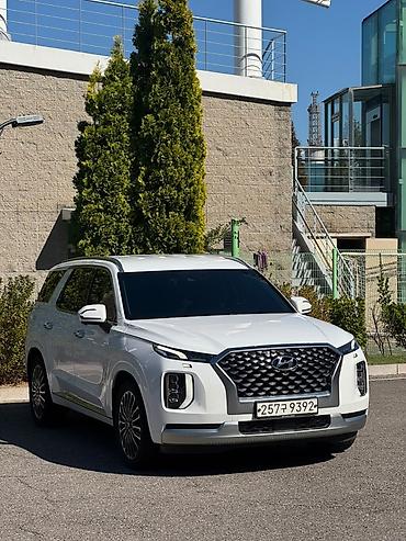 v klass: Hyundai Palisade: 2020 г., 2.2 л, Автомат, Дизель, Кроссовер — 4