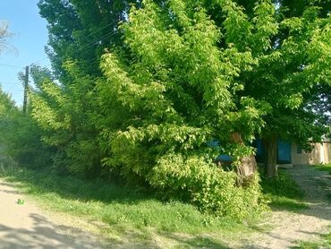 дом село александровка: 28 соток, Для бизнеса, Красная книга, Тех паспорт, Договор купли-продажи