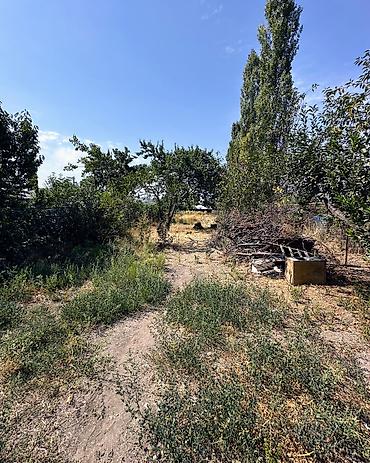 Кыймылсыз мүлк: ✨ Продаётся дом в с. Сокулук ✨ 🏡 Характеристики: • Участок - 14 соток — 4