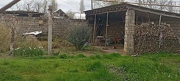 Torpaq sahələrinin satışı: 55 sot, Kənd təsərrüfatı — 17