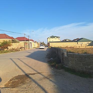 Torpaq: 1 sot, Kənd təsərrüfatı, Mülkiyyətçi, Kupça (Çıxarış) — 1