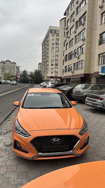 санато 2019: Hyundai Sonata: 2019 г., 2 л, Автомат, Газ, Седан — 1