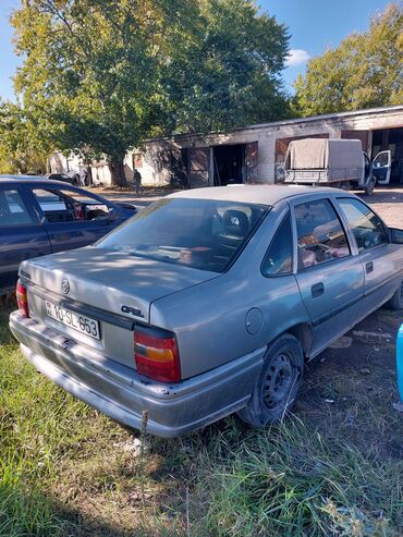 Opel: Opel Vectra: 1.6 l | 1994 il 35000 km Hetçbek