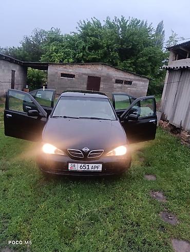 e klass: Nissan Primera: 2002 г., 2 л, Механика, Бензин, Седан — 4