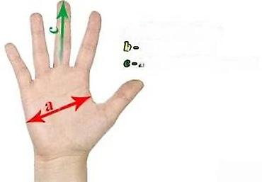 Oprema za bicikliste: Moto zaštitne rukavice – crno/crvene - Ojačani štitnici za članke od — 15