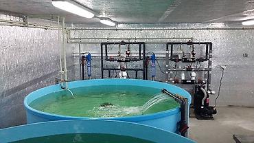 в 210: БУРЕНИЕ СКВАЖИН НА ВОДУ Производим бурение скважин на воду по Чуйской — 4