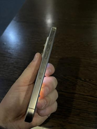 ipad 13 pro: IPhone 16 Pro, 256 ГБ, цвет «Natural Titanium» (светлый титановый) — 3