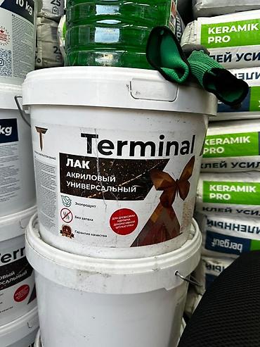 акриловый лак: Акриловый универсальный лак Terminal - Назначение — 1