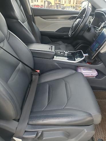 JMEV: JMEV : 2020 г., Электромобиль, Кроссовер — 8