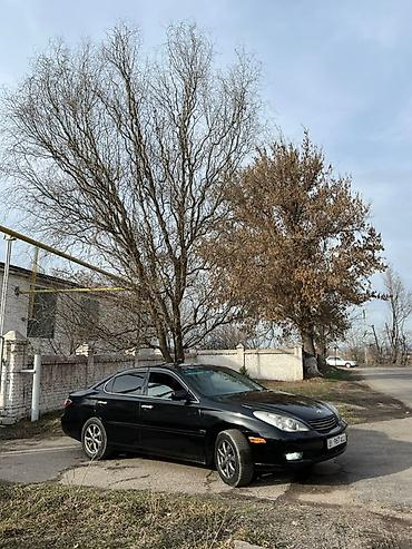 Toyota: Toyota Windom: 2001 г., 3 л, Автомат, Газ, Седан — 12