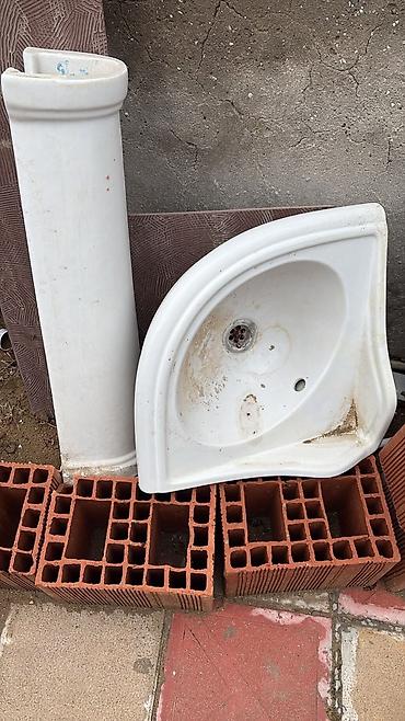 Tulpan Qiymeti 80 manatdi — 1