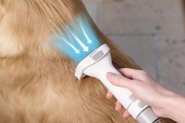 azcomp electronics: ✂️ Petkit Pet Grooming Vacuum Kit 5-in-1 (LM4) – Vacumlu trimmer — 3