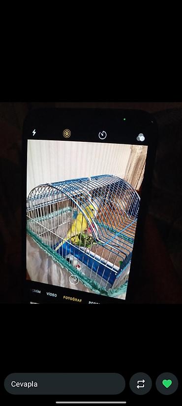 Apple iPhone: IPhone X -da lalafo.az — 5 Apple iPhone: IPhone X — 5