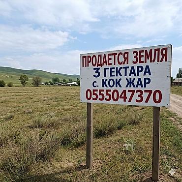 вагон нарын: 300 соток, Айыл чарба үчүн — 1
