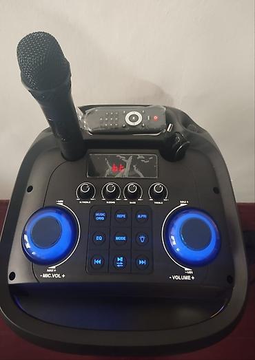 Audio: İşlənmiş Kolonka, Növ - Portativ, rəng - Qara — 5