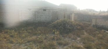 Torpaq sahələrinin satışı: 5 sot, Kupça (Çıxarış) — 5