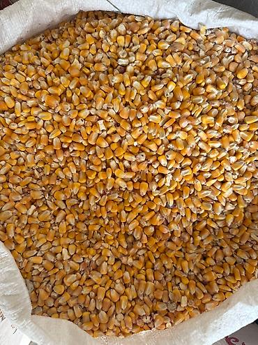 Крупы, мука, сахар: Кукурузная мука Жугору ун - Натуральная кукурузная мука Отправим — 2