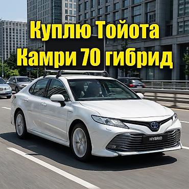 i 8: Toyota Camry: 2019 г. — 1