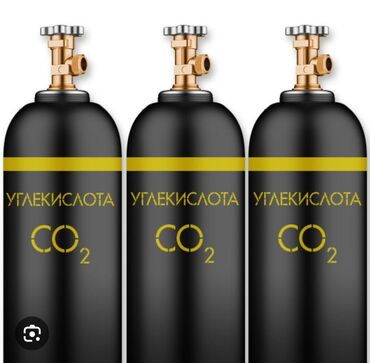 раздатка газ: Продаю: Углекислый газ CO.2 г.Кант