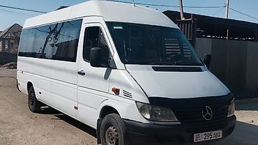 Mercedes-Benz: Mercedes-Benz Спринтер: 2003 г., Бус — 3