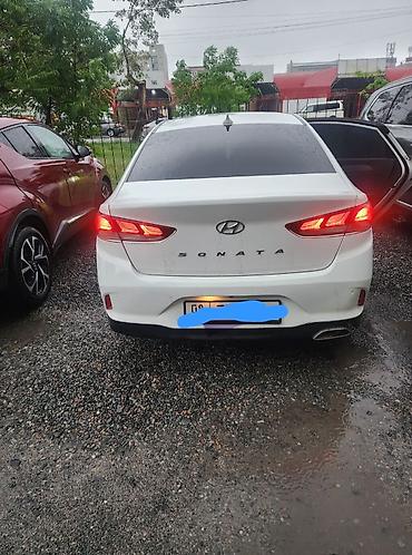 sonata: Hyundai Sonata: 2019 г., 2 л, Автомат, Газ, Седан — 1