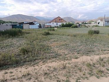 6 соток, Курулуш, Кызыл китеп — 2